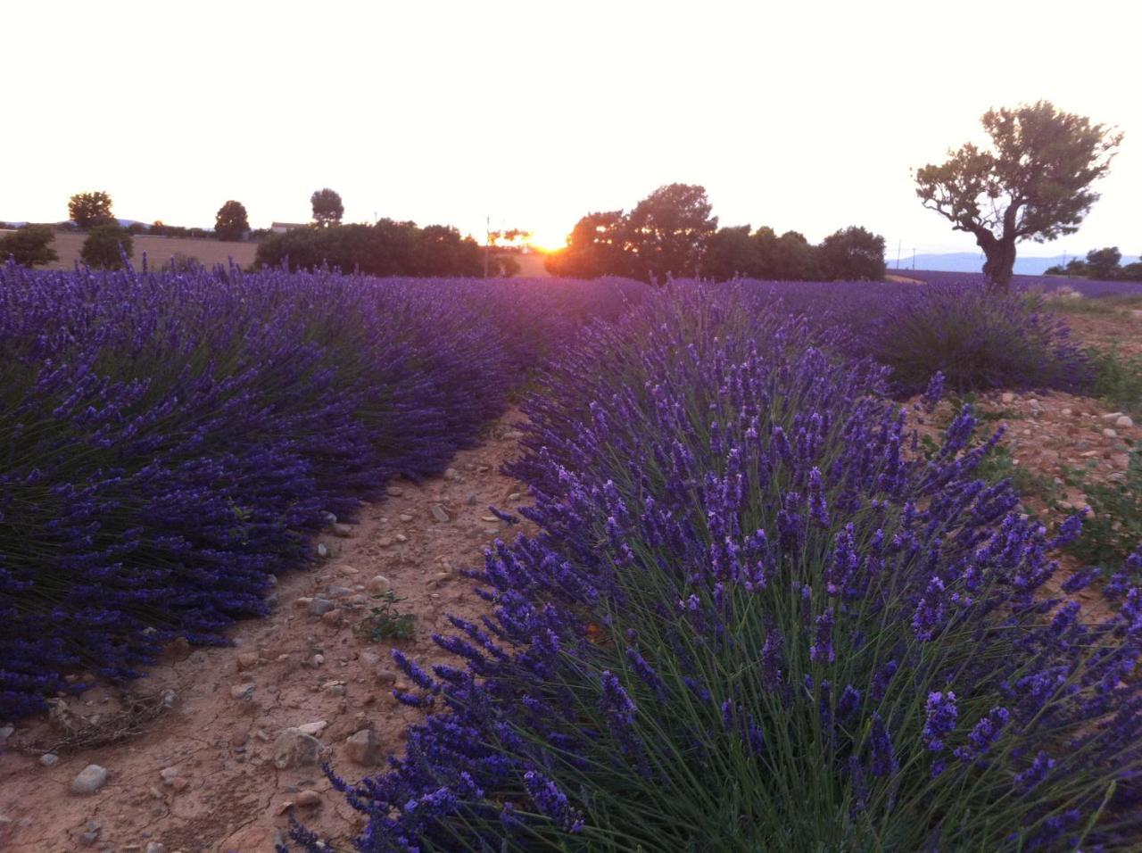 Le Petit Caboulot En Pleine Nature Vaumeilh المظهر الخارجي الصورة